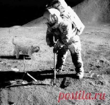 Среди мистификаций на тему "Американцы не были на Луне" попадаются весьма потешные. А вы верите, что высадка американцев на Луну - постановка, снятая Стенли Кубриком?