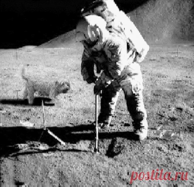 Среди мистификаций на тему "Американцы не были на Луне" попадаются весьма потешные. А вы верите, что высадка американцев на Луну - постановка, снятая Стенли Кубриком?