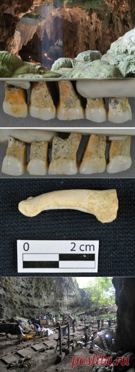 Ранее неизвестный вид человека обнаружен на Филиппинах. | Fraid | Яндекс Дзен