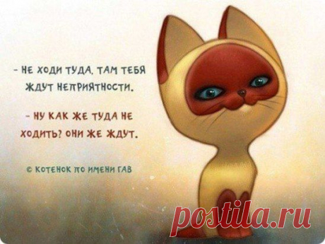 Здоровый пофигизм!