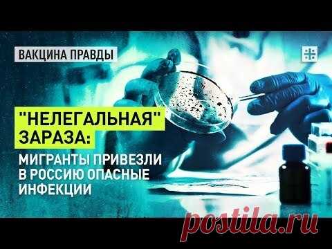 «Нелегальная» зараза: Какие опаснейшие заболевания завозят мигранты в Россию? Тема мигрантов в последнее время актуальна и не сходит с экранов ТВ и первых полос центральных СМИ. И дело не только в наглом поведении ...