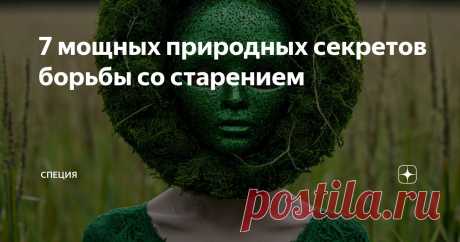 Люди всегда пытаются повернуть время вспять.