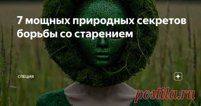 Люди всегда пытаются повернуть время вспять.