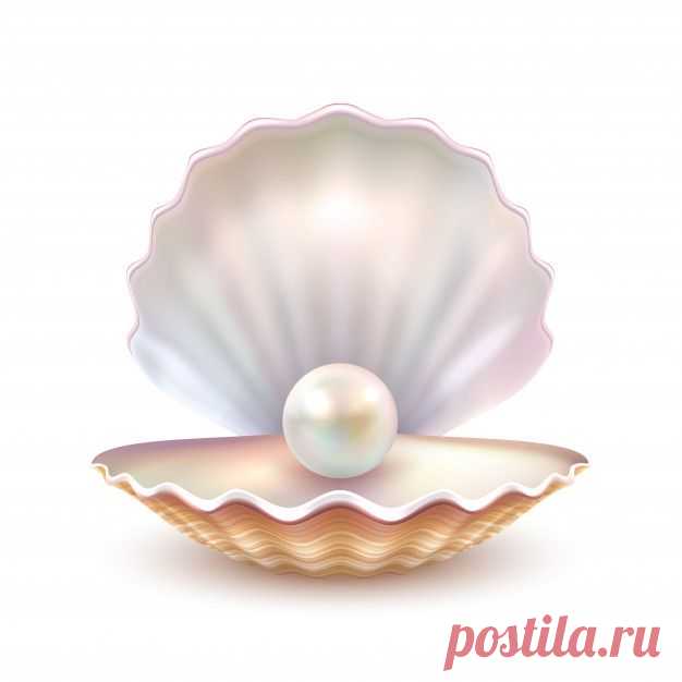 лого

