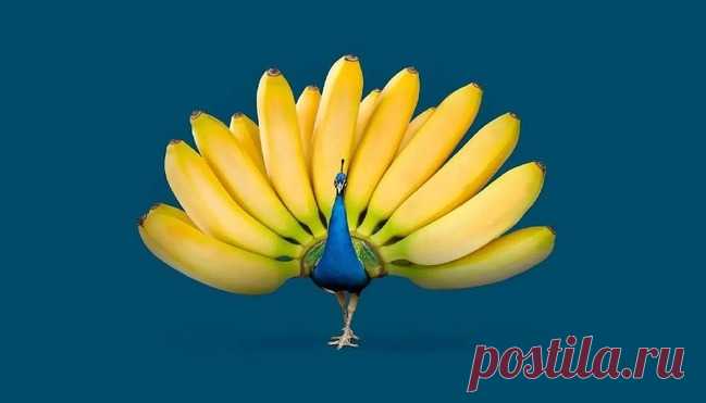 Тест - Что вы увидели первым? Узнайте все о ваших внутренних запретах, что мешают вам жить!Павлина