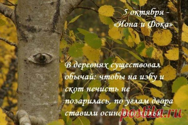 Поздравляю и желаю Вам всего хорошего и душеспасительного! Открытки на День Ионы и Фоки.