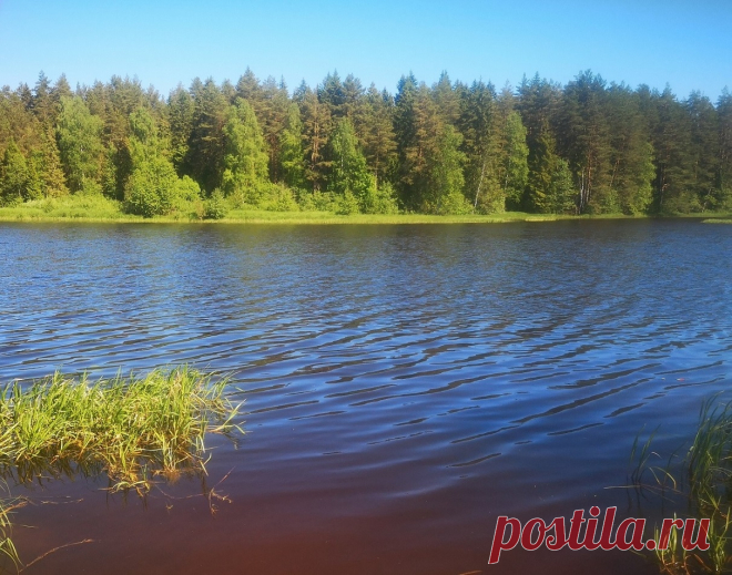 #1030. Нерль. Участок 8 соток в центре села с новой баней.