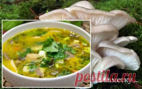 Грибной суп с вешенками, на куриных спинках