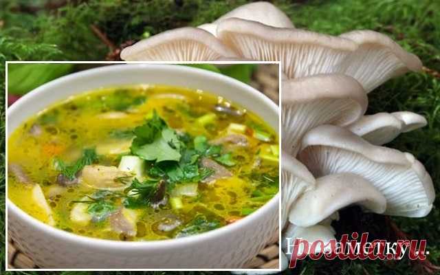 Грибной суп с вешенками, на куриных спинках