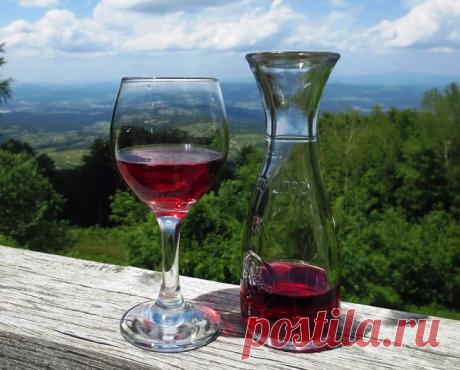 ПОЧЕМУ КРАСНОЕ ВИНО ПОЛЕЗНО ДЛЯ ЖЕНЩИН: ИНТЕРЕСНЫЕ НАУЧНЫЕ ФАКТЫ — Домашние заботы