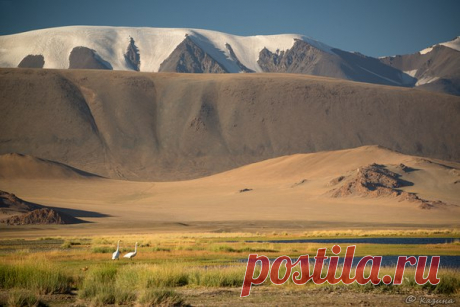 Монгольские пейзажи от Светланы Казиной: nat-geo.ru/photo/user/30896/