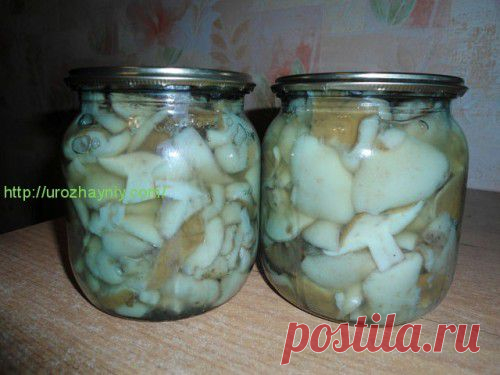 Маринованные маслята на зиму от Ольги Космацкой
