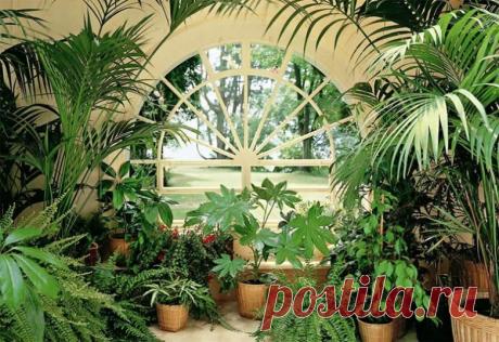 Примеры необыкновенных домашних зимних садов | Наши дома