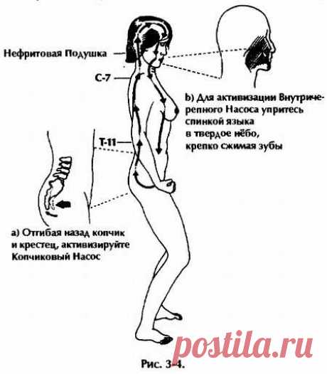 Нейгун - искусство омоложения организма (fb2) | Флибуста