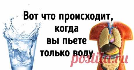 Что будет, если все напитки заменить водой