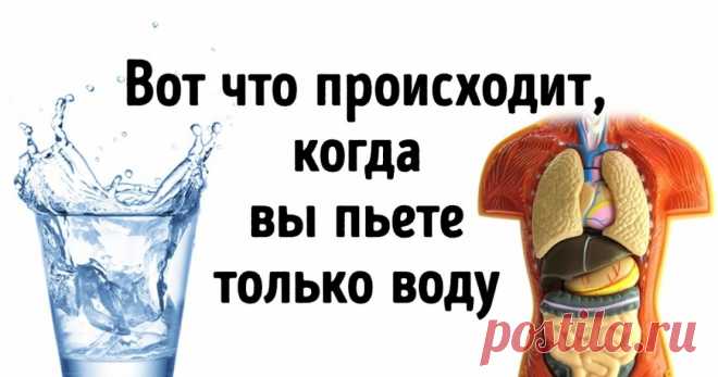 Что будет, если все напитки заменить водой