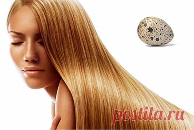 Яйцо для волос и водка от выпадения: видео-инструкция по уходу своими руками, лечение, как втирать, чем полезно, перепелиные яички, польза белка, фото и цена