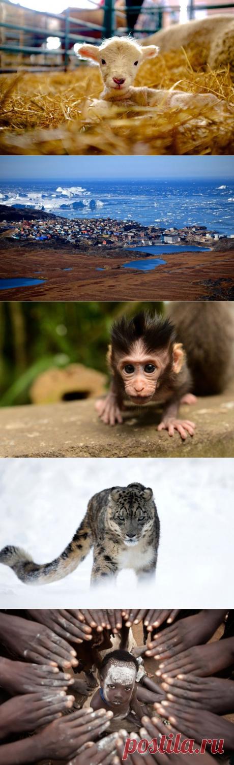 Работы конкурса фотографий National Geographic Traveler 2015 — Фотоискусство