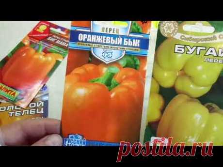 ЗАМАЧИВАЮ СЕМЕНА ПЕРЦА ДО НАКЛЕВЫВАНИЯ. В КАКИХ СЛУЧАЯХ ЭТО НЕОБХОДИМО? Ольга Чернова.