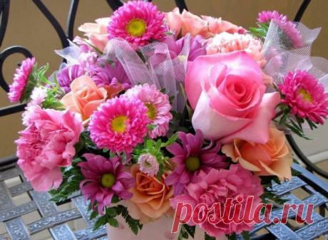 ♥ • ♥ • ♥ ✫ℒℴνℯ✫ ♥ • ♥ • ♥