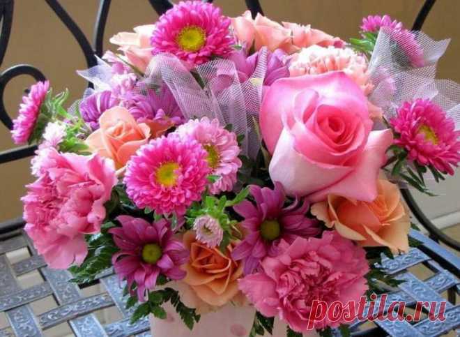 ♥ • ♥ • ♥ ✫ℒℴνℯ✫ ♥ • ♥ • ♥