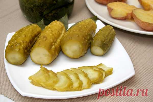 Малосольные огурцы горячего засола — Вкусные рецепты