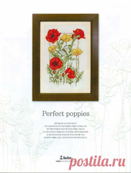 View image: 127579 ab2ca 14807574 m750x740