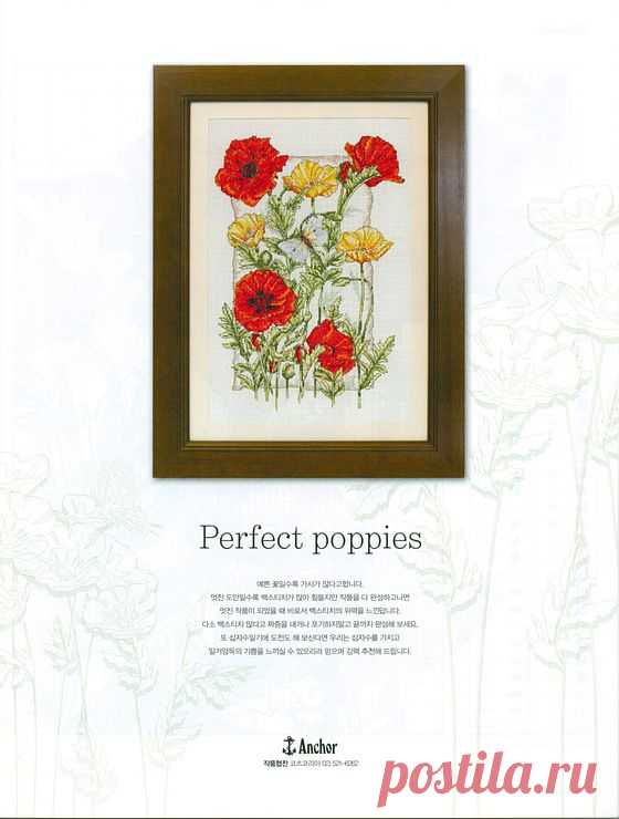 View image: 127579 ab2ca 14807574 m750x740