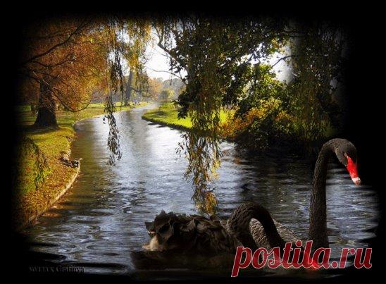 Одноклассники