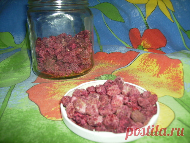 Сушеная малина – пошаговый рецепт с фотографиями