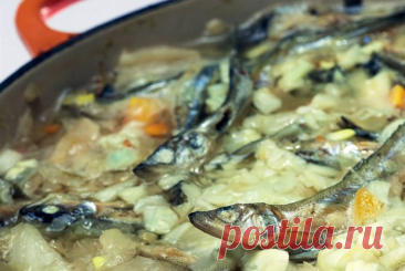 Щи из снетков рецепт – Русская кухня: Супы. «Еда»