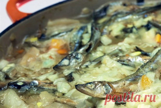 Щи из снетков рецепт – Русская кухня: Супы. «Еда»