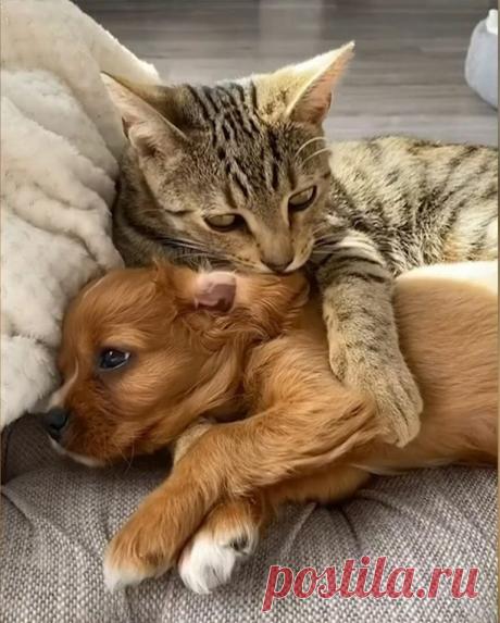 (1) Facebook