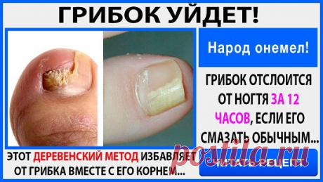 Одноклассники