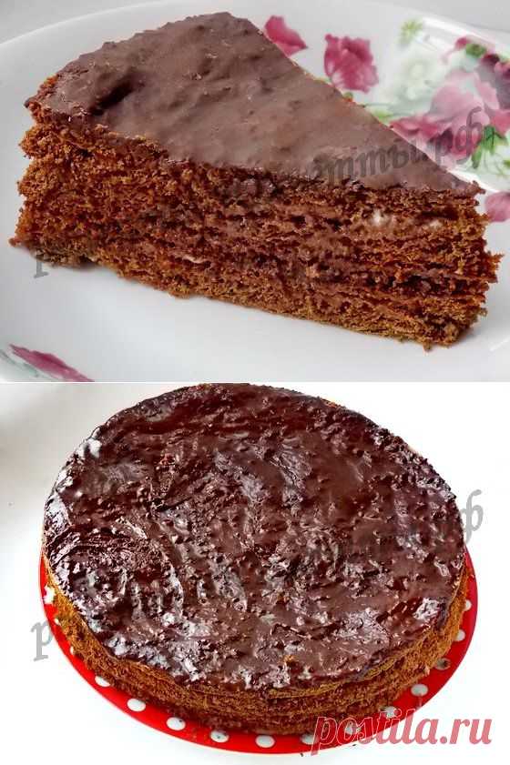 Шоколадный медовик рецепт с фото | Рецепты Юльетты
