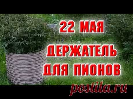 22 мая.  Держатель для пионов из ротанга
