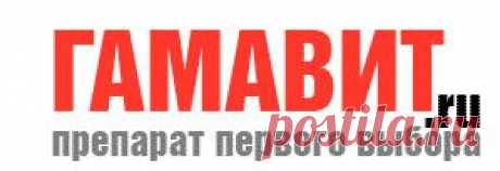 Гамавит и дегельминтизация. Как правильно выгнать глистов?