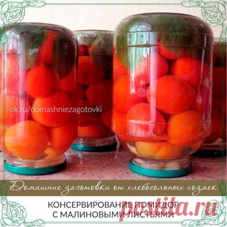 КОНСЕРВИРОВАНИЕ ПОМИДОР С МАЛИНОВЫМИ ЛИСТЬЯМИ

Помидоры получаются очень вкусными и хорошо держат свою форму!
Малиновые листья придают особенный вкус и, кроме того, содержащаяся в них ацетилсалициловая кислота не допускает брожения.

На одну 3-х литровую банку:

- помидоры (небольшие) около 2 кг;
- 3 пятипалых малиновых листочка;
- 5-8 зубчиков чеснока;
- 2 столовых ложки соли;
- 5 столовых ложек сахара;
- 1 столовая ложка 9% уксуса.

Приготовление:

Банку вымыть и вытерет...