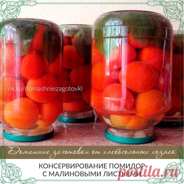 КОНСЕРВИРОВАНИЕ ПОМИДОР С МАЛИНОВЫМИ ЛИСТЬЯМИ

Помидоры получаются очень вкусными и хорошо держат свою форму!
Малиновые листья придают особенный вкус и, кроме того, содержащаяся в них ацетилсалициловая кислота не допускает брожения.

На одну 3-х литровую банку:

- помидоры (небольшие) около 2 кг;
- 3 пятипалых малиновых листочка;
- 5-8 зубчиков чеснока;
- 2 столовых ложки соли;
- 5 столовых ложек сахара;
- 1 столовая ложка 9% уксуса.

Приготовление:

Банку вымыть и вытерет...