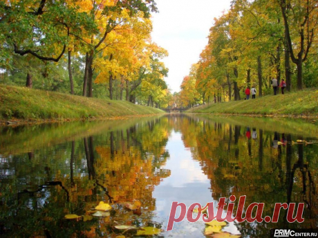 Мы все, друзья, живой природы дети, Родные братья на родной планете, Цветы, деревья, звери, птицы, люди – Мы жизнь и дом родной свой очень любим. Мы, как цветы, порой несовместимы, Но все хотим, конечно, быть любимы, И в чём-то все мы схожи меж собою И связаны одной загадочной судьбою