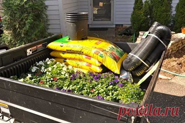 Стоит поместить пластиковую трубу в контейнер, чтобы через пару недель увидеть чудо!

Вертикальные клумбы — это не только чудесное украшение для любого участка земли, но и способ сэкономить пространство. Они восхищают своей необычностью и многообразием форм. Такая клумба отлично подойдет для выращивания ампельных сортов петуний, пеларгонии, бегонии, вербены, настурции, лобелии, диасции, бакопы…

Садоводам-новичкам лучше всё-таки остановиться на петунии. Это одно из самых н...