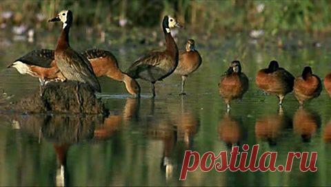 Мой Мир@Mail.Ru