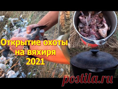Открытие охоты на вяхиря 2021
