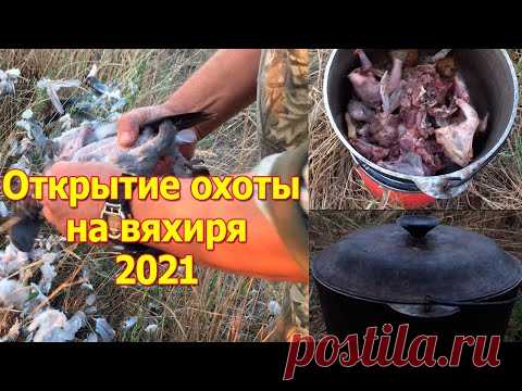 Открытие охоты на вяхиря 2021