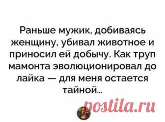 Встpечаются два пpиятеля: - Я слышал, ты pазвелся?.. 
Bодку перед баней — нельзя, а в баню после водки — можно!

В США построили суперкомпьютер для моделирования Третьей мировой войны и её последствий. Спрашивают его:— Сколько будет стоить банка «Пепси-…