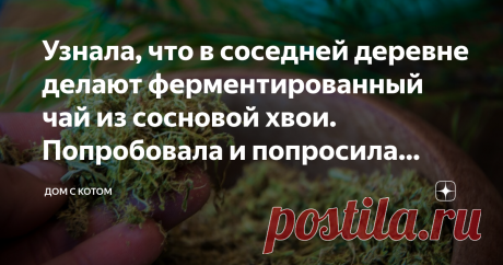 Узнала, что в соседней деревне делают ферментированный чай из сосновой хвои. Попробовала и попросила рецепт Рядом с нами в 4км есть деревня, в которой живёт Тамара Павловна. Мы познакомились зимой, когда в местном доме культуры выступал сын (играл на саксофоне). Пока он репетировал - меня напоили удивительным чаем. Даже сразу и непонятно, из чего он: терпкий, травяной, насыщенный, с нотками хвои и ароматом леса.
Тот чай, что понравился мне - сделан из ферментированных сосн...