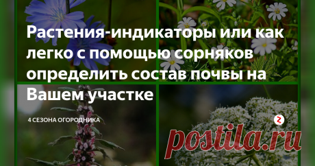 Растения-индикаторы или как легко с помощью сорняков  определить состав почвы на Вашем участке Приобрев новый участок или занимаясь планированием расположения саженцев и грядок, изначально стоит...