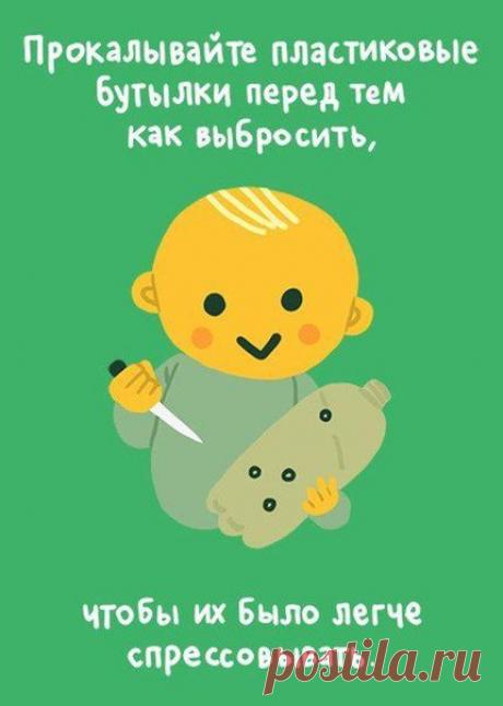 Жизнь в стиле ECO