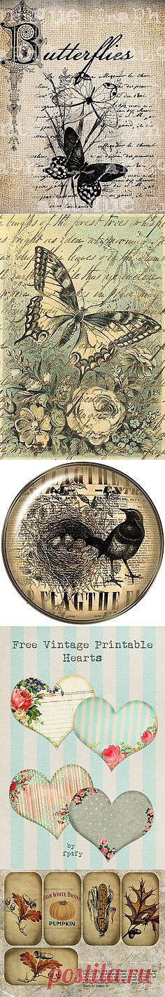 french bird | pinning printables