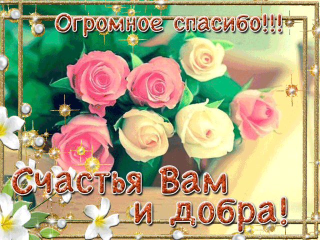 Поклон вам низкий и спасибо
За ваши теплые слова,
За то, что просто не забыли,
И все поздравили меня!
